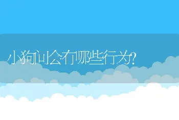 小狗间会有哪些行为?