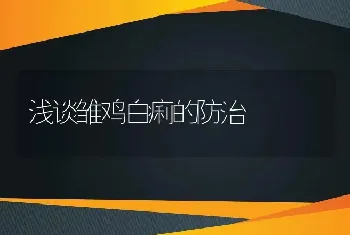 浅谈雏鸡白痢的防治