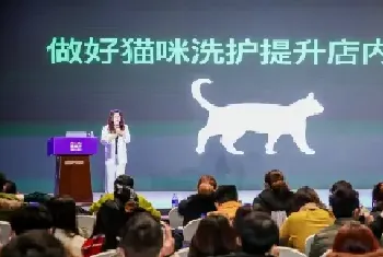 解析猫咪低压洗护流程