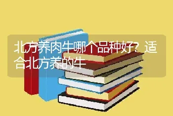 北方养肉牛哪个品种好？适合北方养的牛