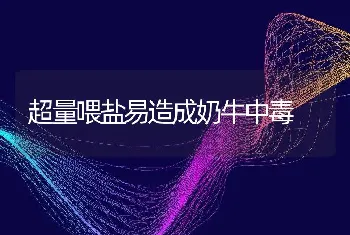 超量喂盐易造成奶牛中毒