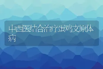 中西医结合治疗蛋鸡支原体病