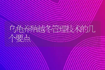 乌龟养殖越冬管理技术的几个要点