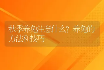 秋季养兔注意什么？养兔的方法和技巧