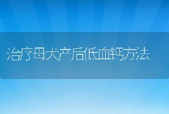 治疗母犬产后低血钙方法