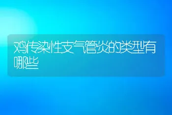 鸡传染性支气管炎的类型有哪些