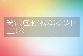 豫东地区水库网箱养殖罗非鱼技术