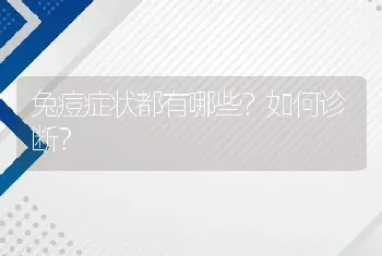 兔痘症状都有哪些？如何诊断？