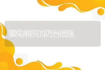 獭兔痢疾的防治措施