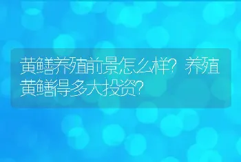 泥鳅养殖|网箱养殖泥鳅的六个技术要点