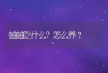 蛐蛐吃什么?怎么养？