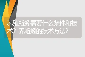 养殖蚯蚓需要什么条件和技术？养蚯蚓的技术方法？