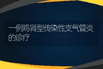 一例鸡肾型传染性支气管炎的诊疗