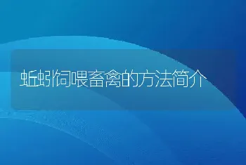 蚯蚓饲喂畜禽的方法简介