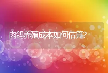 肉鸽养殖成本如何估算？