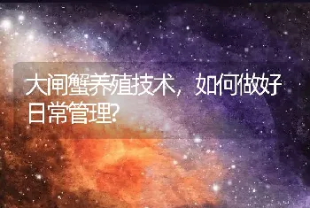 大闸蟹养殖技术，如何做好日常管理?