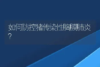 如何防控猪传染性胸膜肺炎？