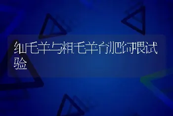 细毛羊与粗毛羊育肥饲喂试验