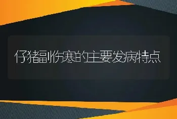 仔猪副伤寒的主要发病特点