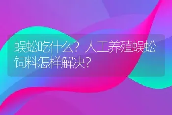 蜈蚣吃什么？人工养殖蜈蚣饲料怎样解决？