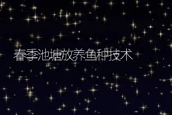 春季池塘放养鱼种技术