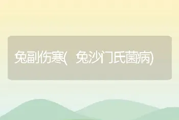 兔副伤寒(兔沙门氏菌病)