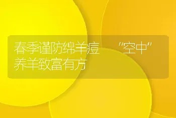 春季谨防绵羊痘 “空中”养羊致富有方