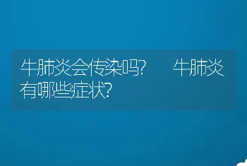 牛肺炎会传染吗? 牛肺炎有哪些症状?