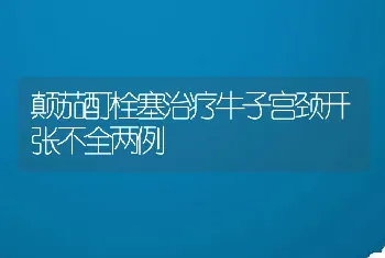 颠茄酊栓塞治疗牛子宫颈开张不全两例