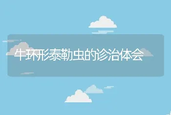 牛环形泰勒虫的诊治体会