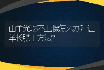 山羊光吃不上膘怎么办？让羊长膘土方法？