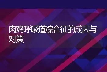 肉鸡呼吸道综合征的成因与对策