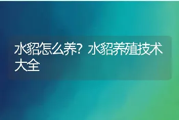 水貂怎么养？水貂养殖技术大全