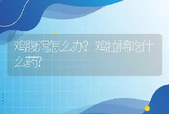 鸡腹泻怎么办?鸡拉稀吃什么药?