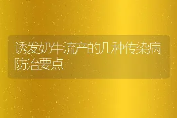 诱发奶牛流产的几种传染病防治要点