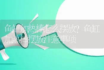 鱼缸加热棒怎么摆放？鱼缸加热棒摆放注意事项