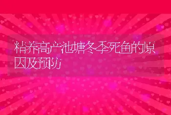 精养高产池塘冬季死鱼的原因及预防