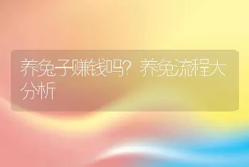 养兔子赚钱吗？养兔流程大分析