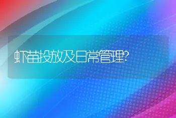 虾苗投放及日常管理?