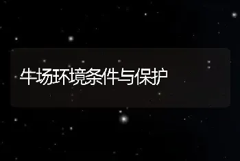 牛场环境条件与保护