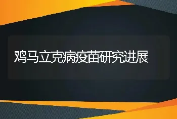 鸡马立克病疫苗研究进展