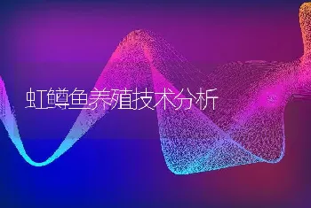 虹鳟鱼养殖技术分析