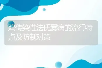 鸡传染性法氏囊病的流行特点及防制对策