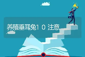 养殖垂耳兔10注意