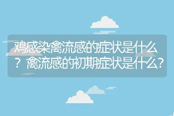 鸡感染禽流感的症状是什么？禽流感的初期症状是什么？