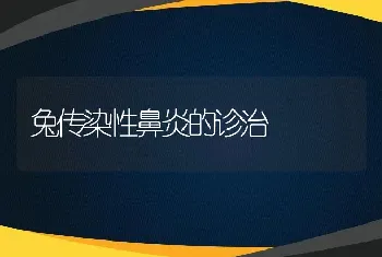 兔传染性鼻炎的诊治