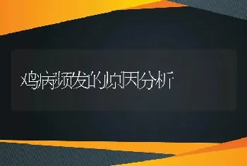 鸡病频发的原因分析