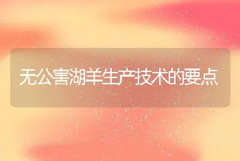 无公害湖羊生产技术的要点