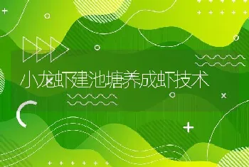 小龙虾建池塘养成虾技术