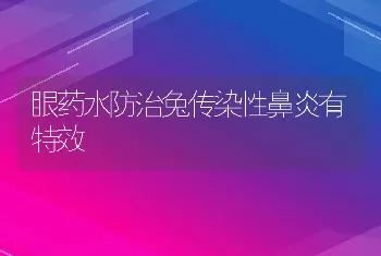 眼药水防治兔传染性鼻炎有特效